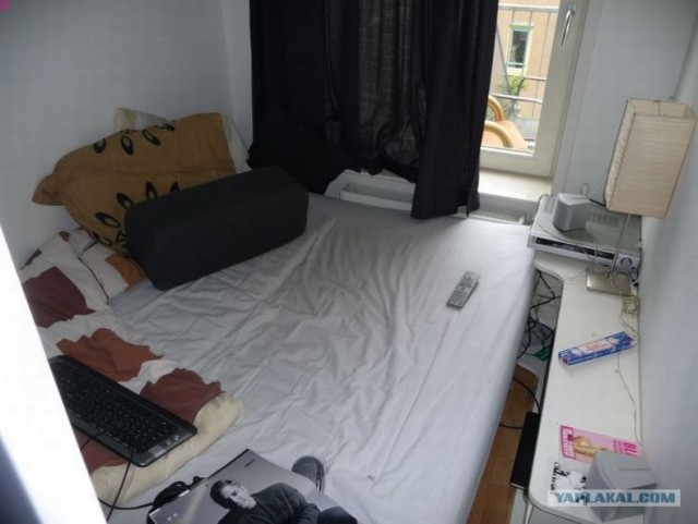 Как испоганить холостяцкое гнездышко