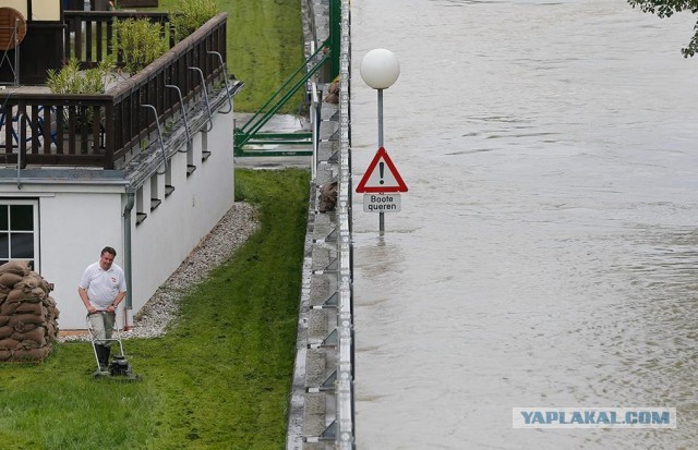 У водителя стальные яйца