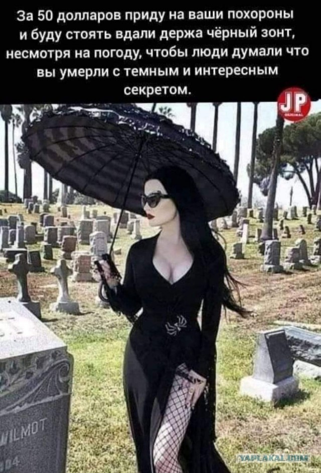 Баяны с распродажи