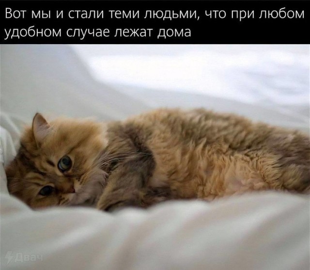 Так себе картинки 19.02.25