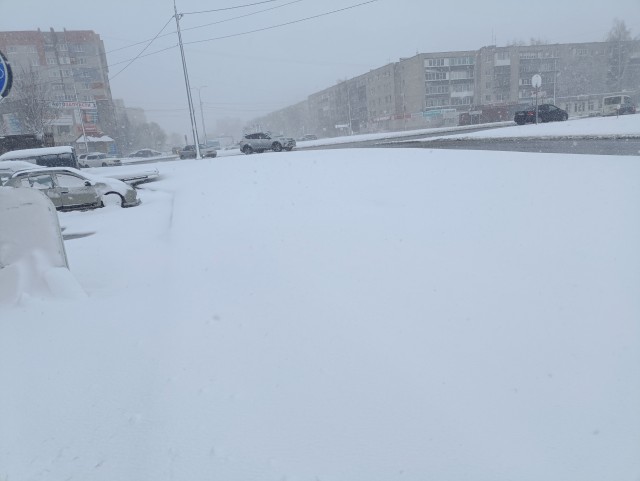 Сходил в магазин?