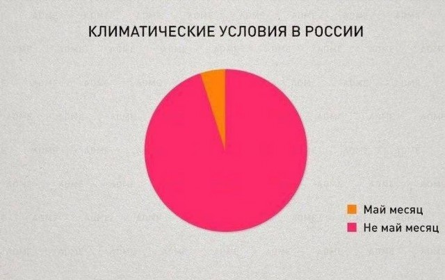 Веселые картинки в среду, практически пятницу 30.04