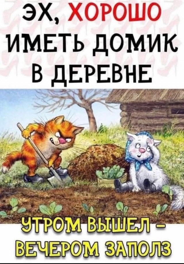 К котовторнику.