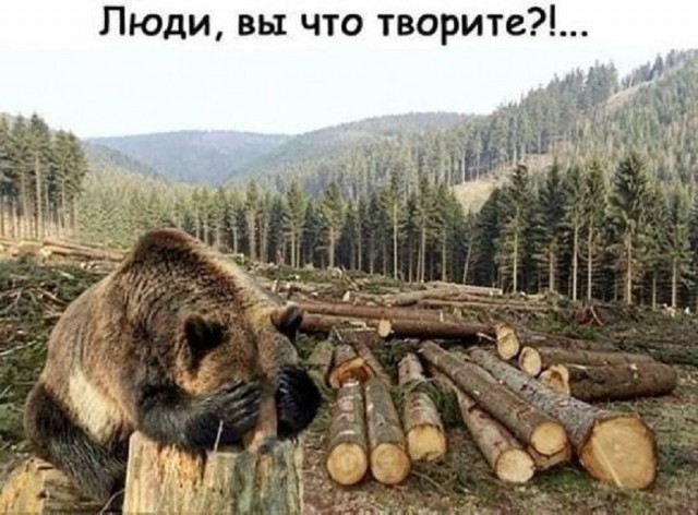 Так себе картинки 16.05.25