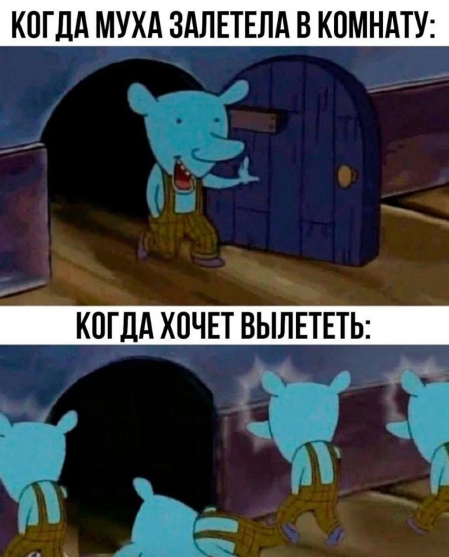 Юмор в картинках за пол дня и клуб приемных детей