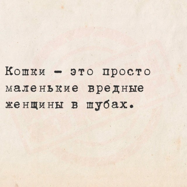 Так себе картинки 13.06.25