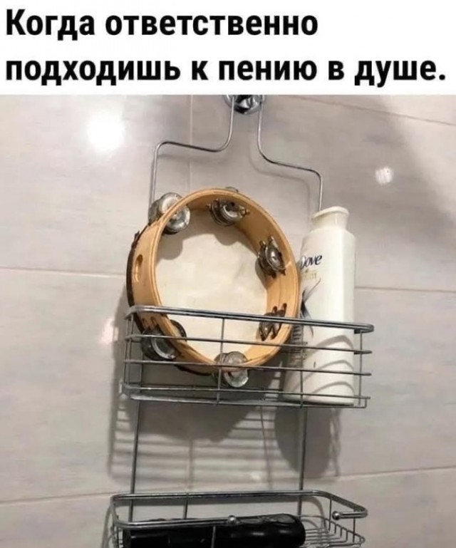 Так себе картинки 24.08.25