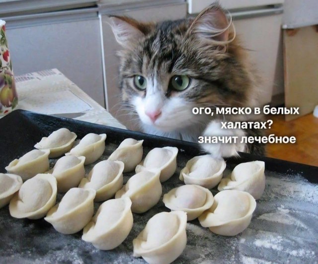 Сегодня отмечается день пельменей