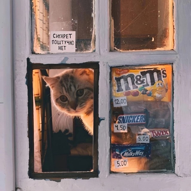 Интересные фотографии 1990 -х 22.02.26