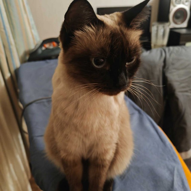 Машу ж вать! Наташа, помогите!