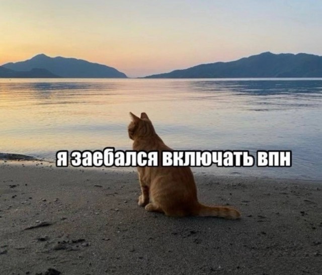 Среды картинки