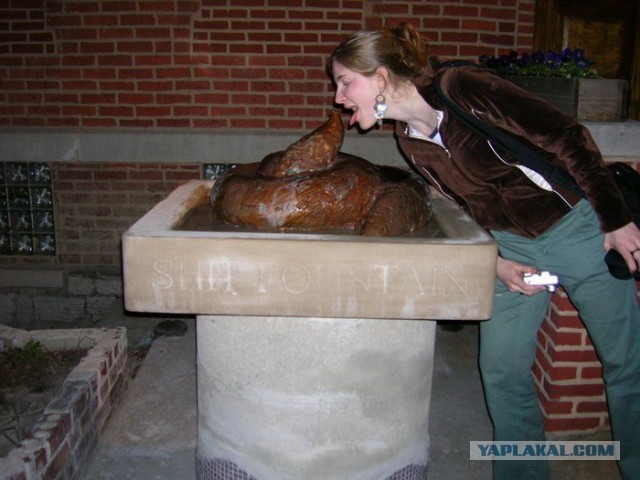 Борец и мясо: кто кого?