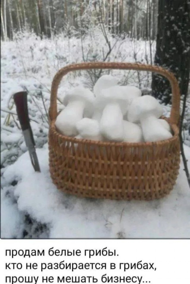 Картинки для деградации 192 (разной степени свежести)