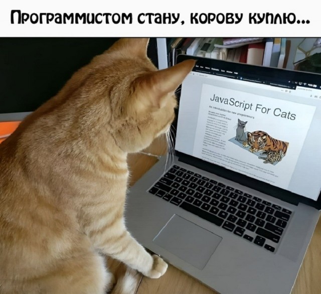 Так себе картинки 12.05.26
