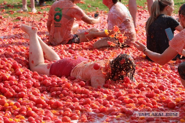 Россия ограничит ввоз плодовощной продукции из Армении