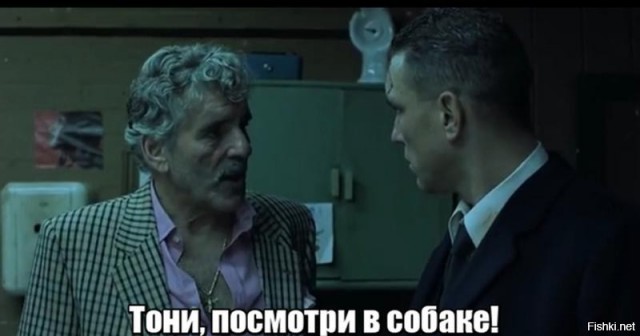 Собака и наушник