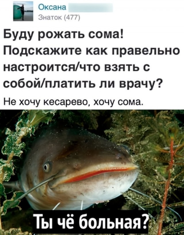 Старшая сестра ловит сома ногами