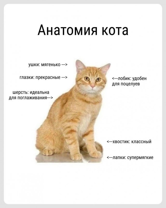 Так себе картинки 18.08.26