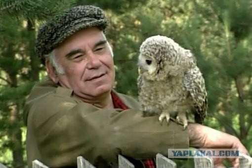 Умер Василий Песков
