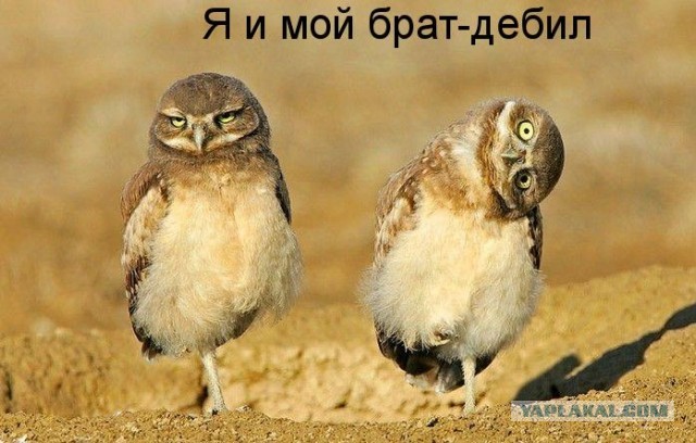Сенсация: тест на отцовство