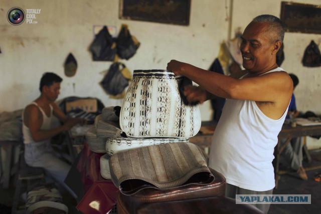 Поможем? Не?...)