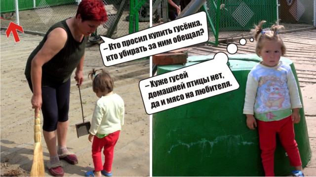 Тёща, теща. Га-га-га…