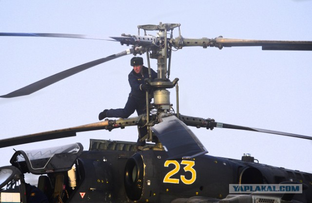 Боевые вертолеты Ка-52 на учениях в Амурской