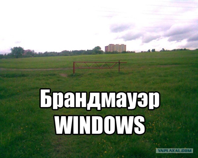 Windows