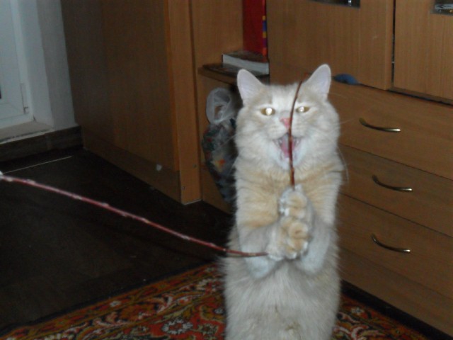Про Тучку, которая стала Дымкой