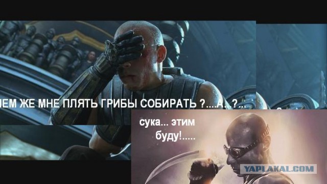 Про грибы пост