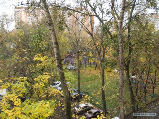 Дикий махач на Таганке