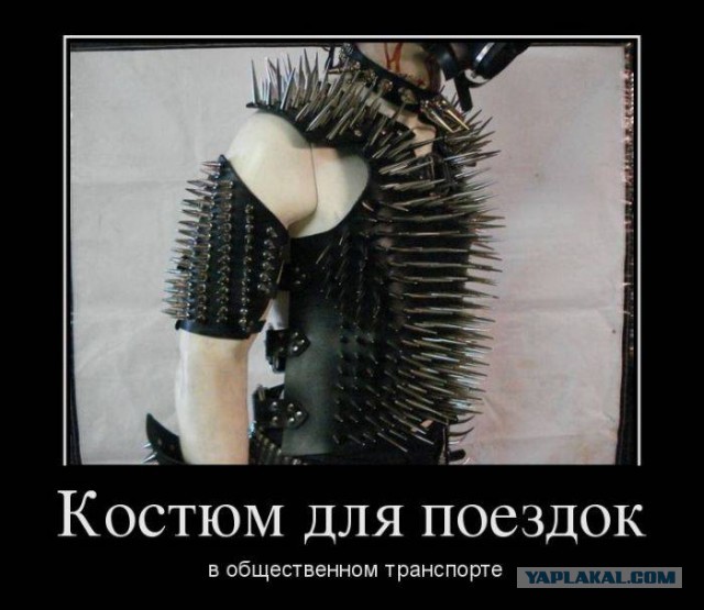 41 веселая картинка