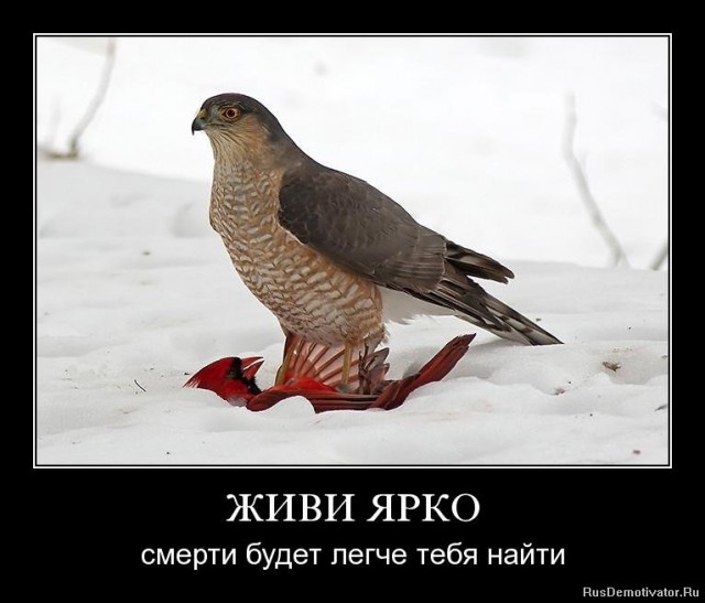 Вы хотите "демов"? часть 2-я