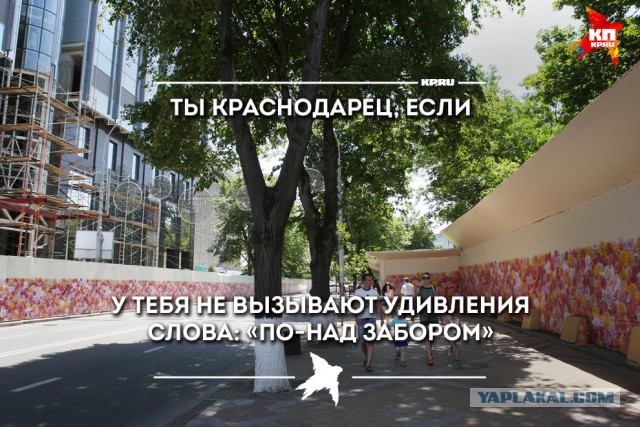 Ты- краснодарец, если