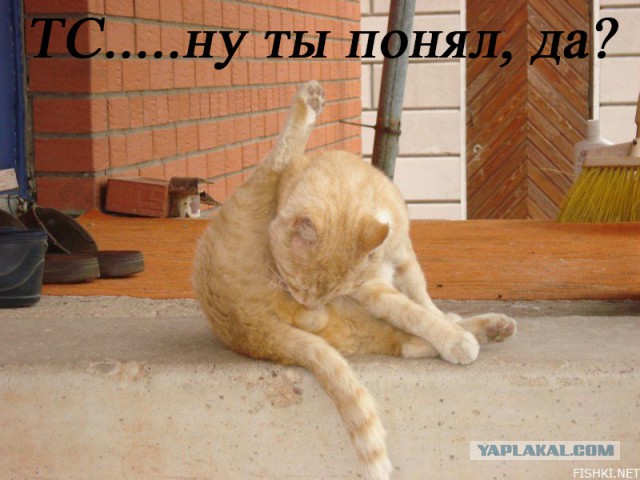 Как я скальпировал процессор