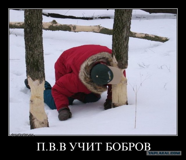 Путин с клювом в халате возглавил журавлиный клин