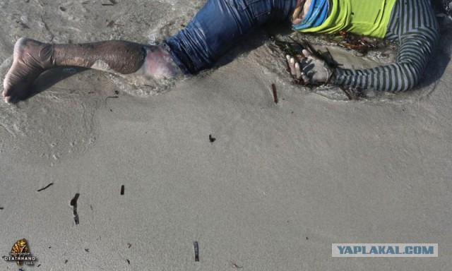 Беженцы плывут