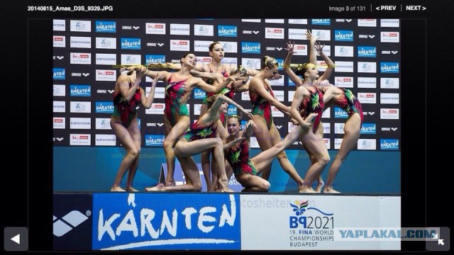 Самые популярные синхронистки мира