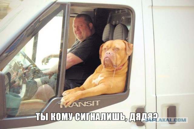 Автоюмор