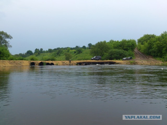 Половили голавлика