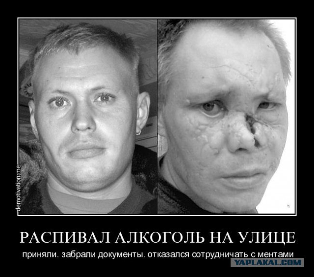 «Пакет Яровой» оказался отвлекающим маневром