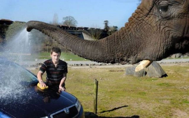 Подборка безудержного веселья