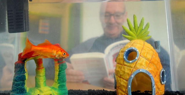 Отели, предлагающие необычные дополнительные услуги