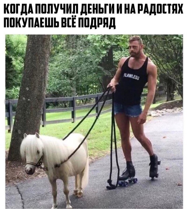 Подборка безудержного веселья