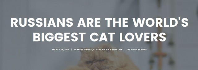 Россию сочли самой кошачьей страной мира