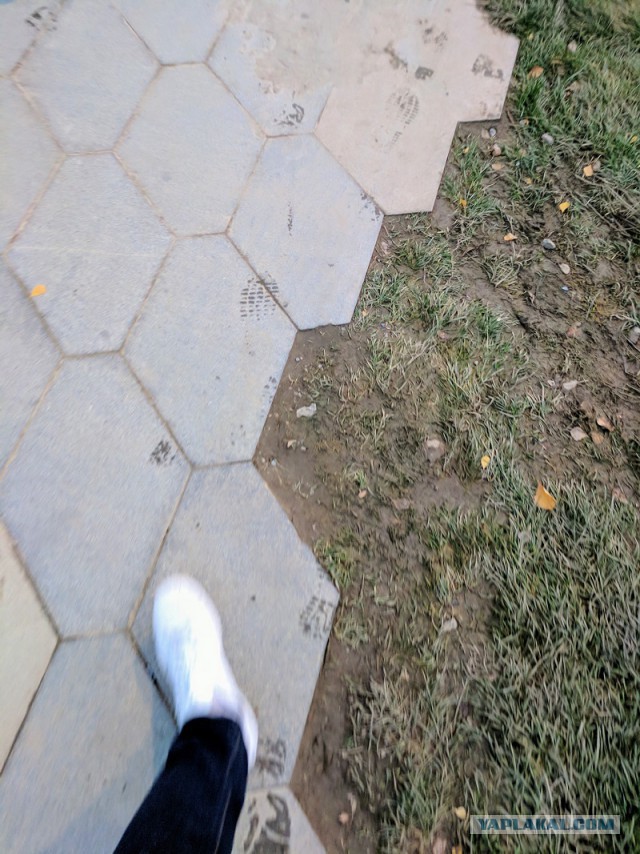 Зарядье. Абсурд.