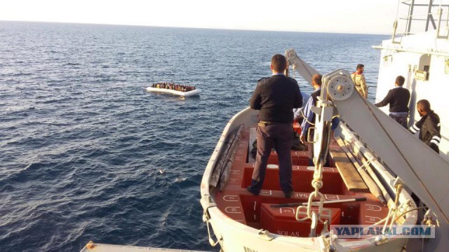Кровавое пиршество: Акулы растерзали десятки мигрантов в Средиземном море.