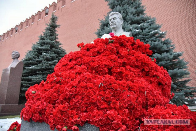 10 тысяч алых цветов возложено к могиле Сталина в Москве