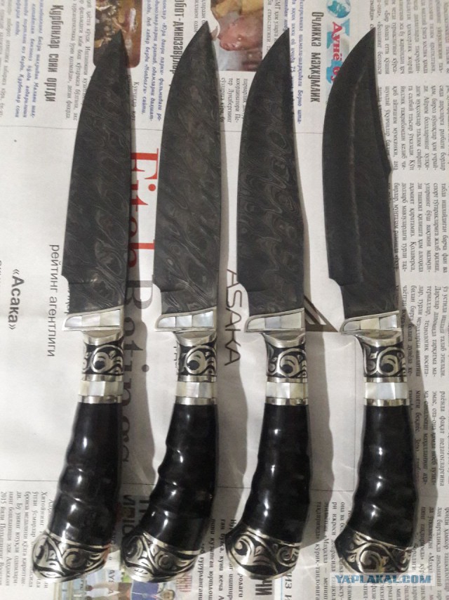 Продам Пчаки