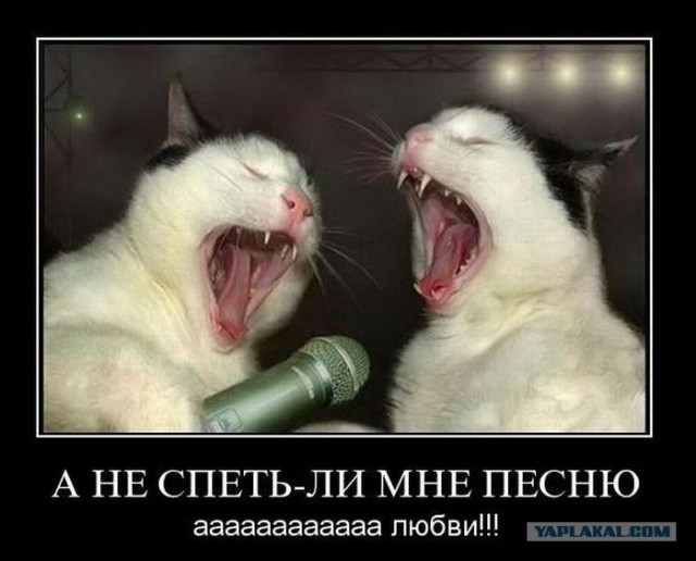 Щаз как спою!